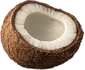 Coconut Blanc – vonná ingrediencia