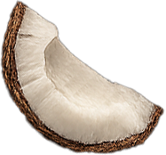 Coconut Blanc – vonná ingrediencia